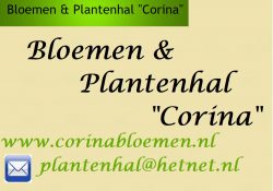 Corina Bloemen en Plantenhal